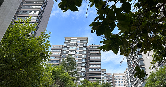 启东企业注册域名查询