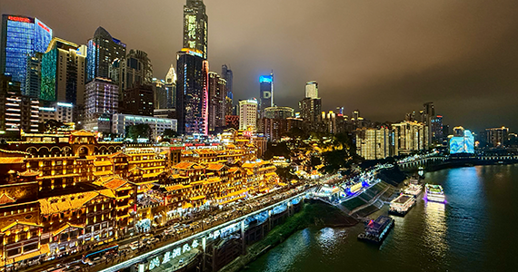 驻马店域名注册企业名单查询