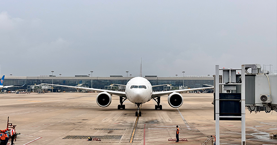 企业ID或者域名怎么查询信息