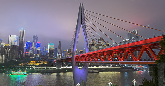 企业域名网站查询