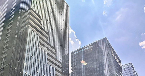 查询企业注册了哪些域名