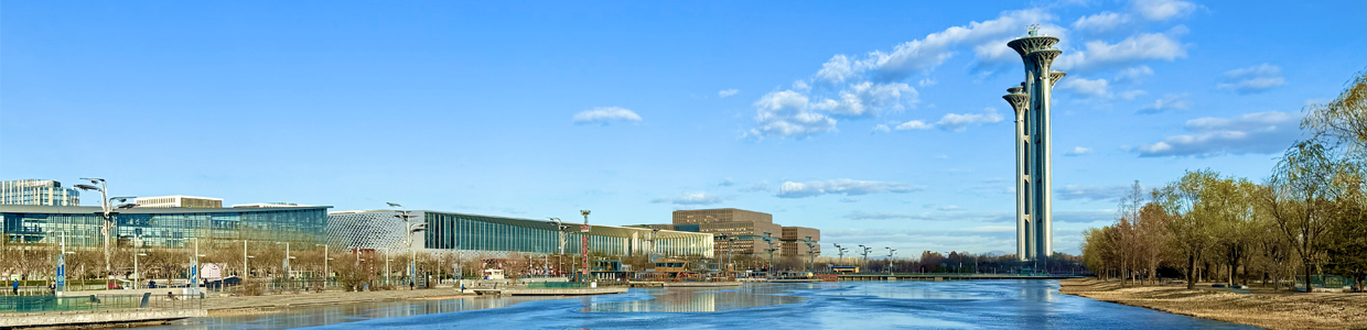 企业域名查询网